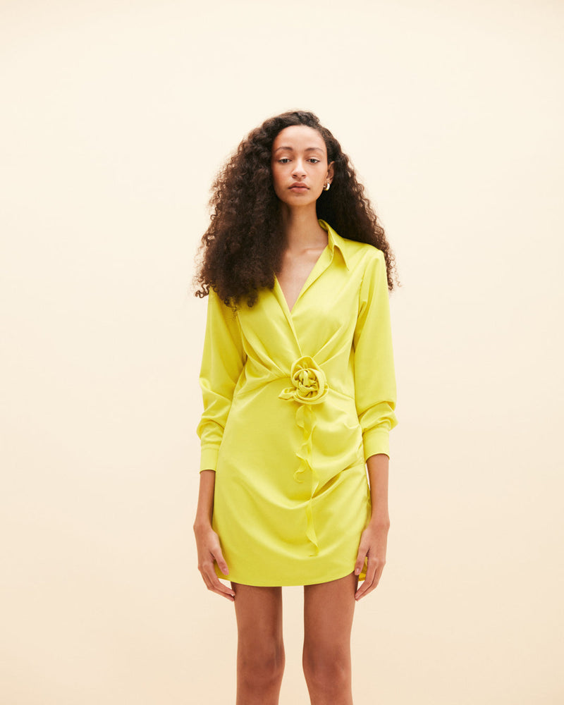 Amanti Dress Lime